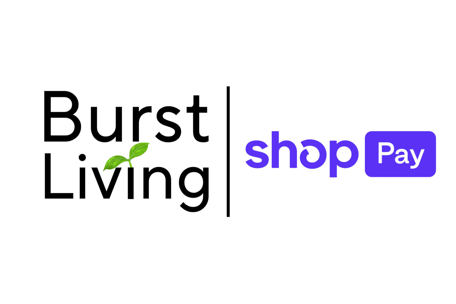 Burst Living in partner with shop pay to have flexible payment options for all unique wood carved animal decor