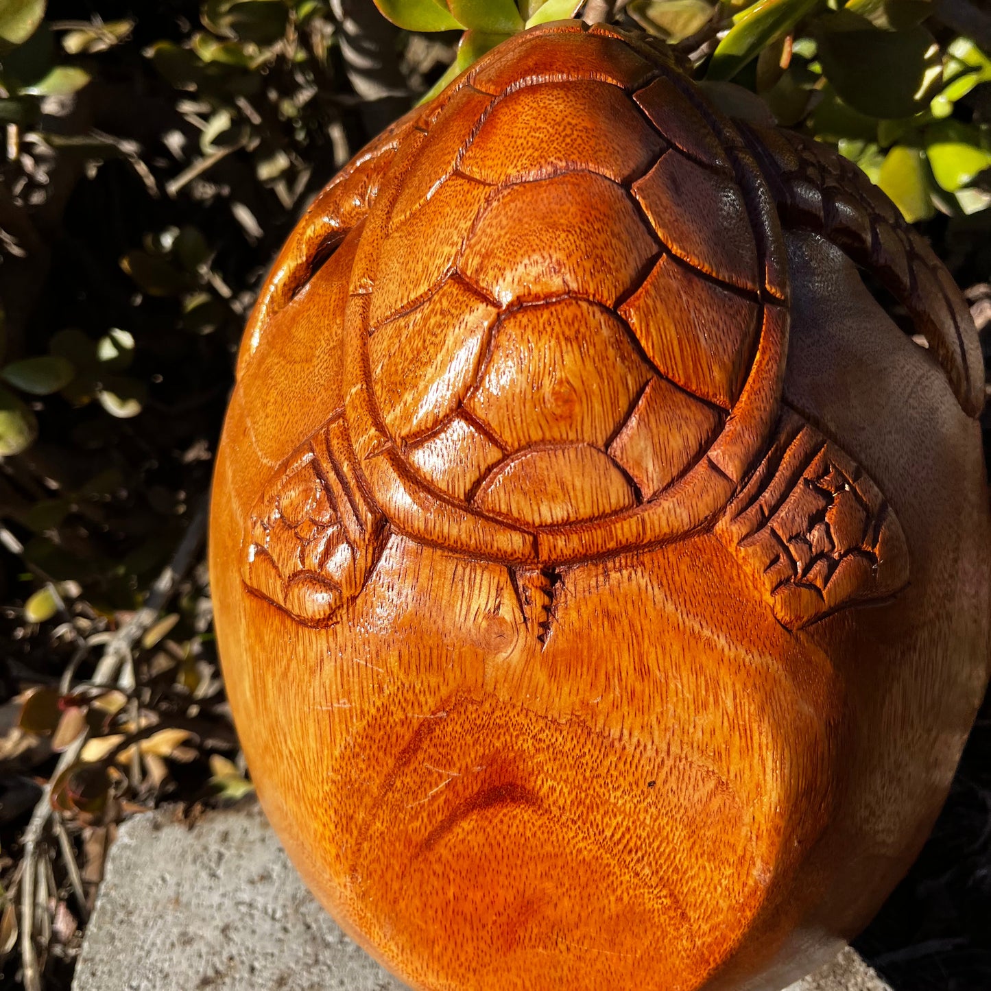 Close-up view of the back detail of the hand-carved wooden turtle decorative bowl, highlighting the smooth finish and intricate craftsmanship. The coral reef base is visible, showcasing the care and attention to detail in every aspect of this unique piece.