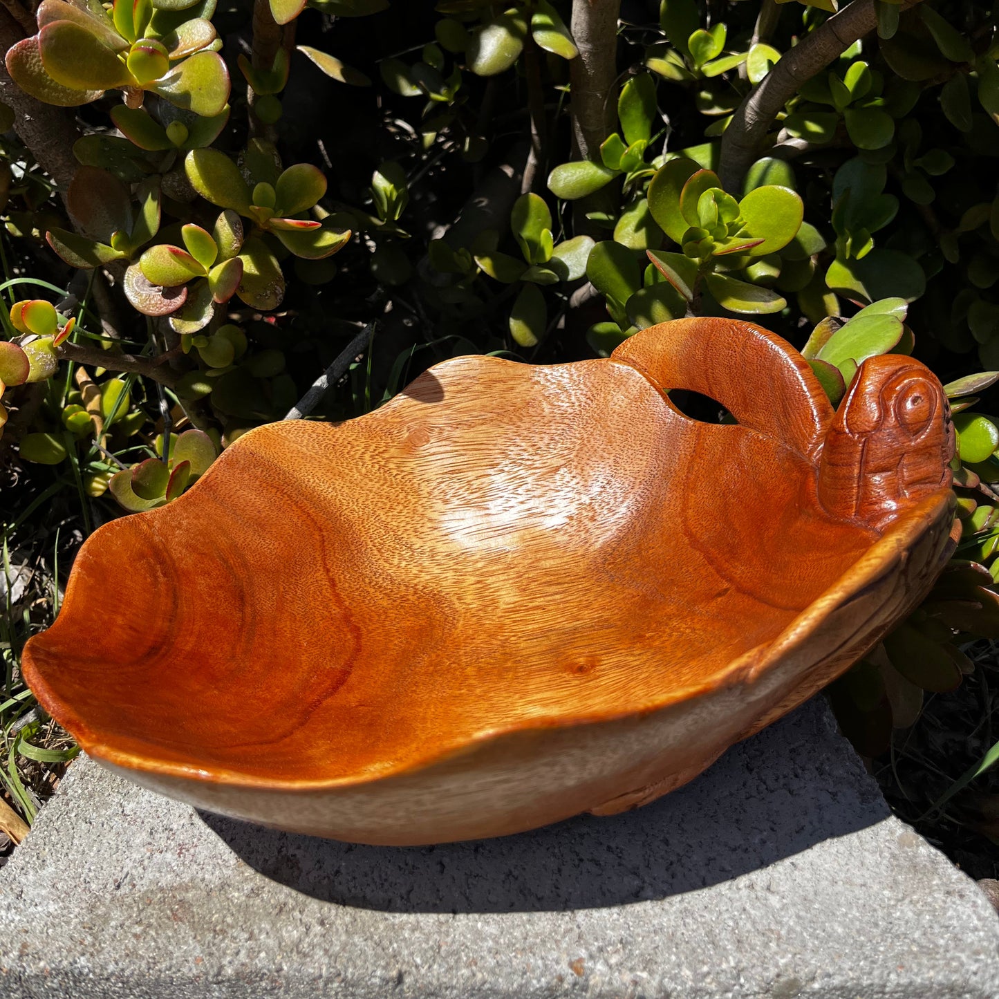 Wooden sea turtle tabletop bowl decor. Showcased with nature background.
