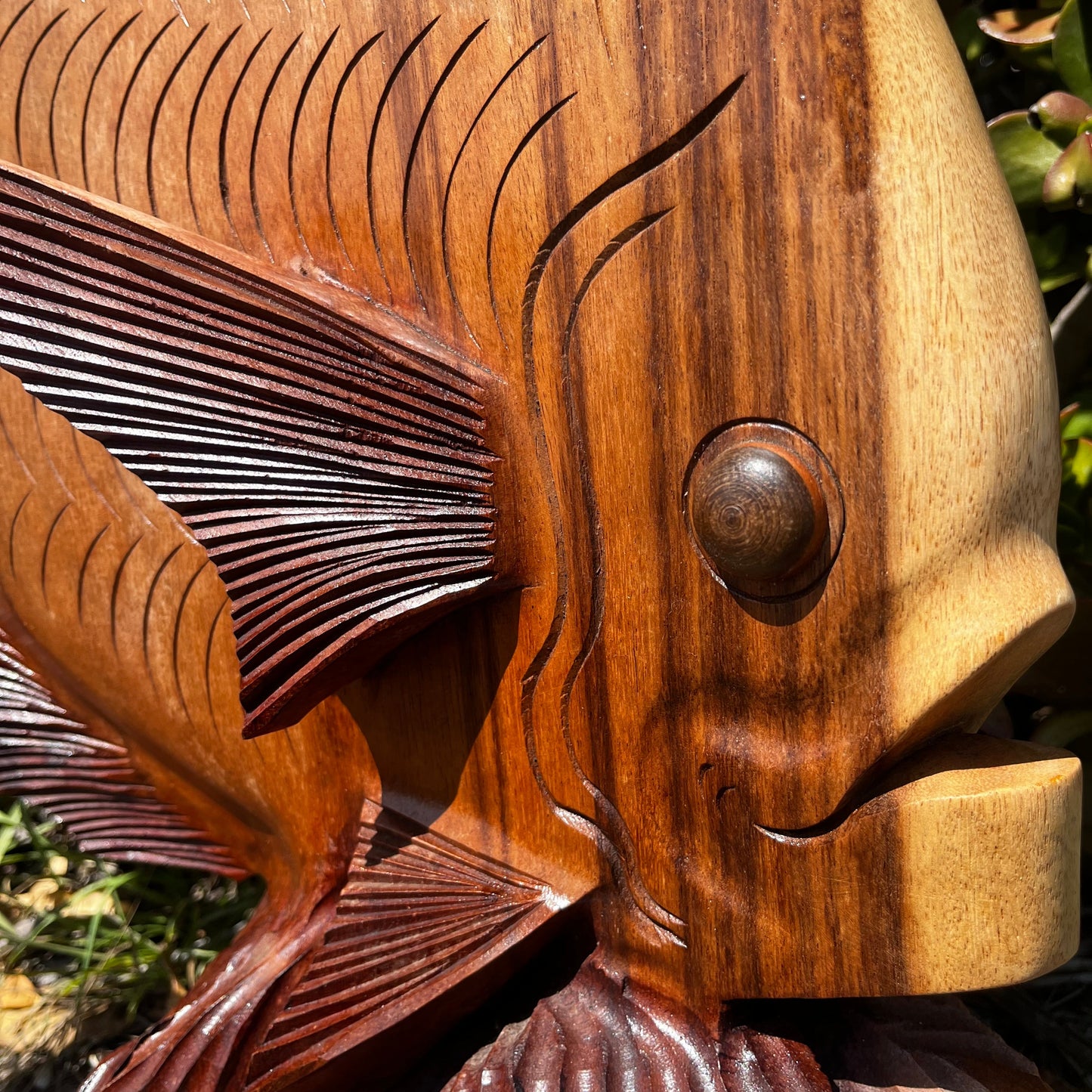 Elegant hand-carved wooden discus fish sculpture, masterfully crafted from solid tropical hardwood. Showcasing graceful curves, flowing fins, and detailed carvings, this unique statue brings the serene beauty of ocean life into your home. A perfect accent for coastal interiors, office spaces, or nature-inspired spaces.