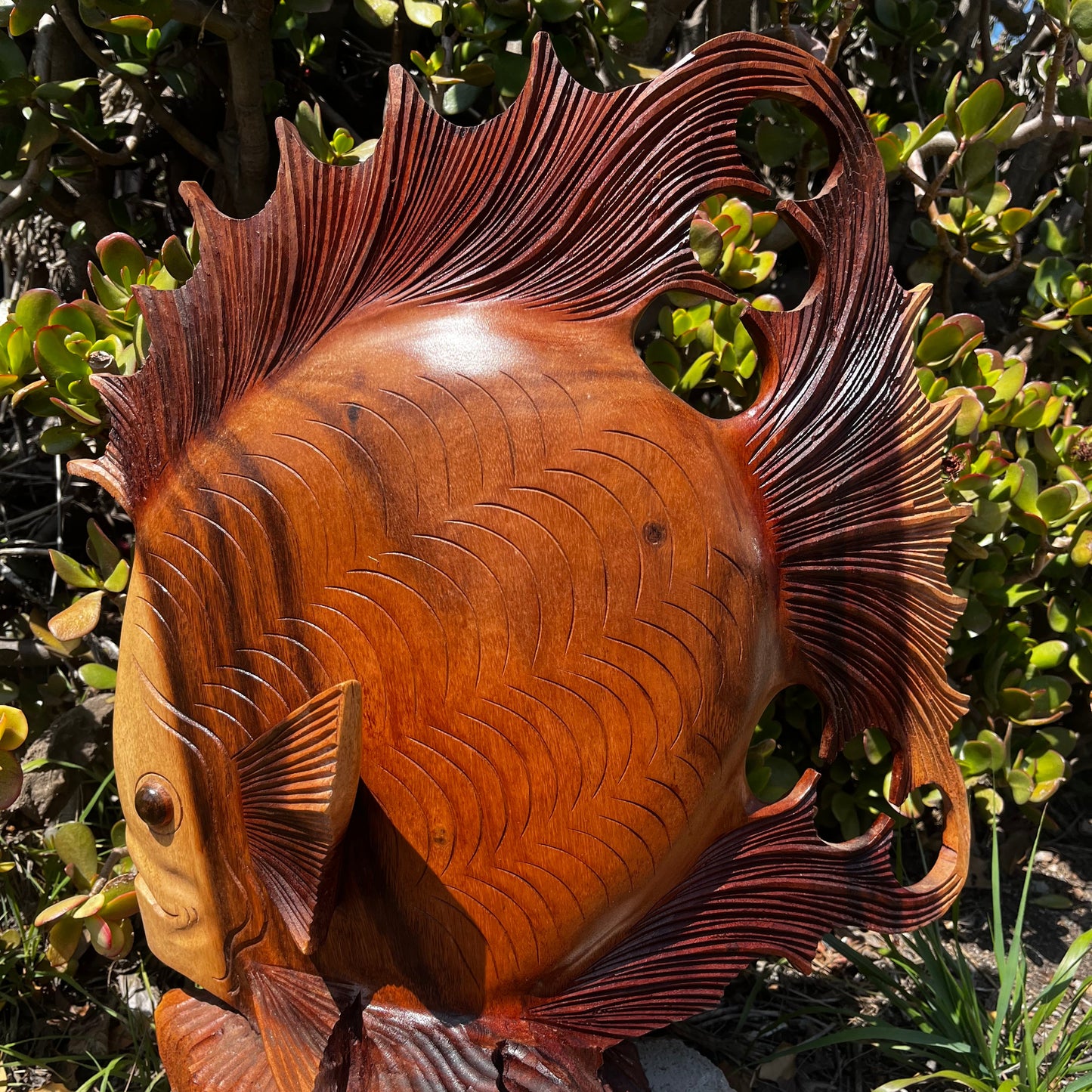 Beautiful hand-crafted wooden fish statue made from high-quality tropical hardwood, featuring smooth contours and delicately carved fins. This artisan piece reflects oceanic elegance and is perfect for adding a natural, coastal touch to home or office decor.