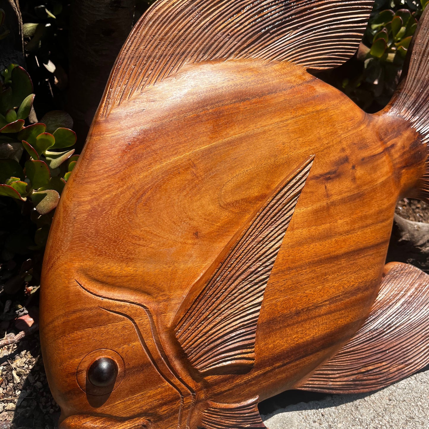20" Discus Fish Plaque