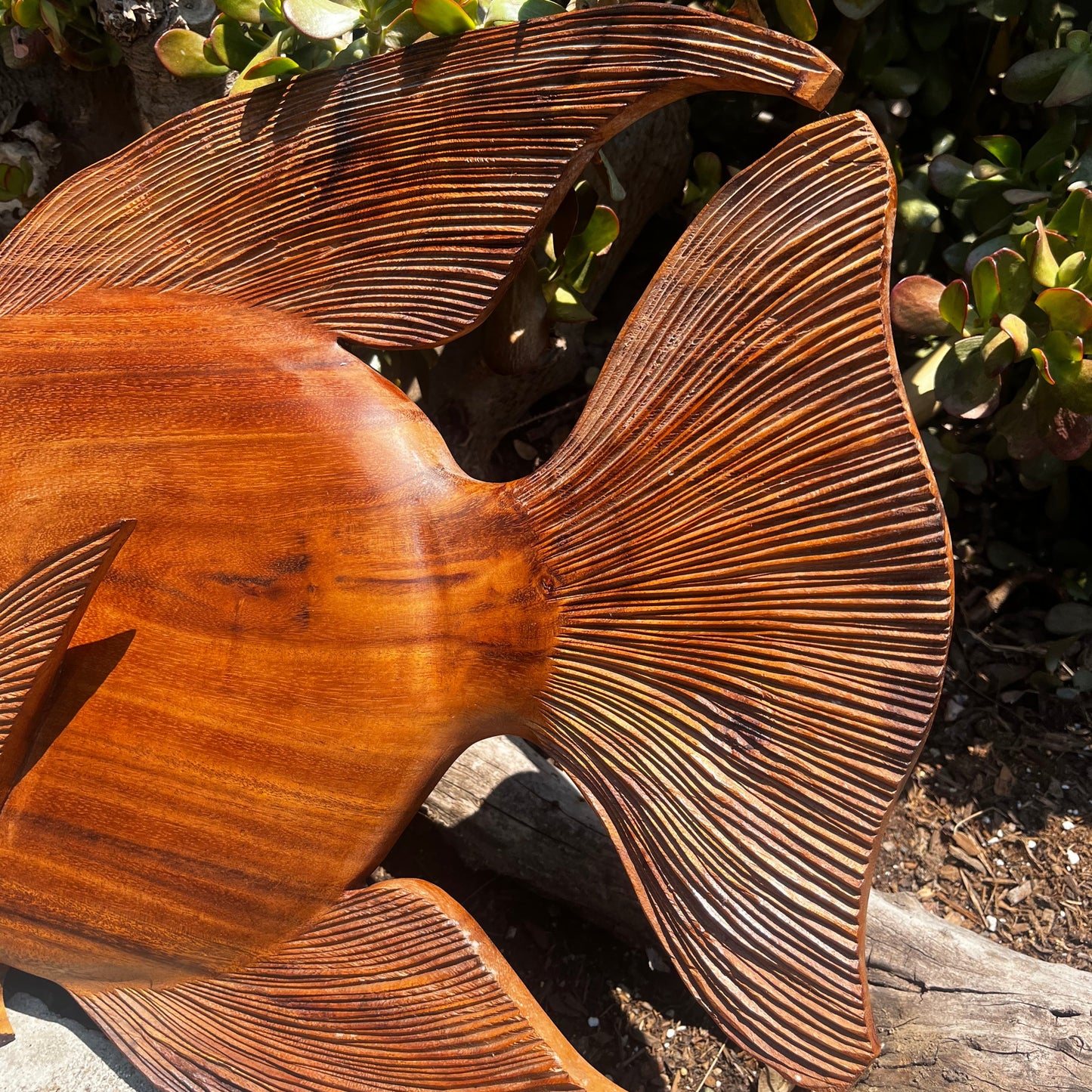 20" Discus Fish Plaque