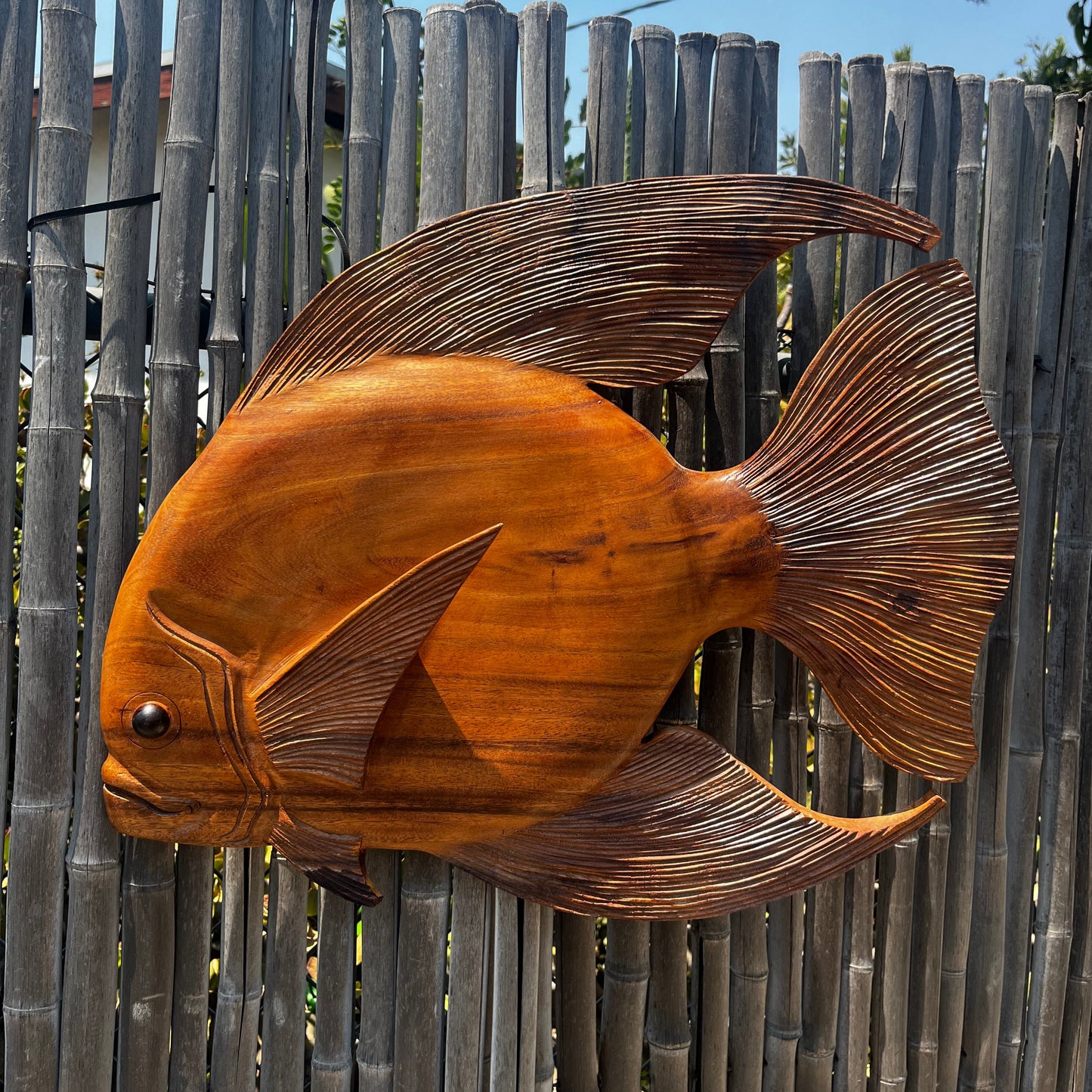 20" Discus Fish Plaque