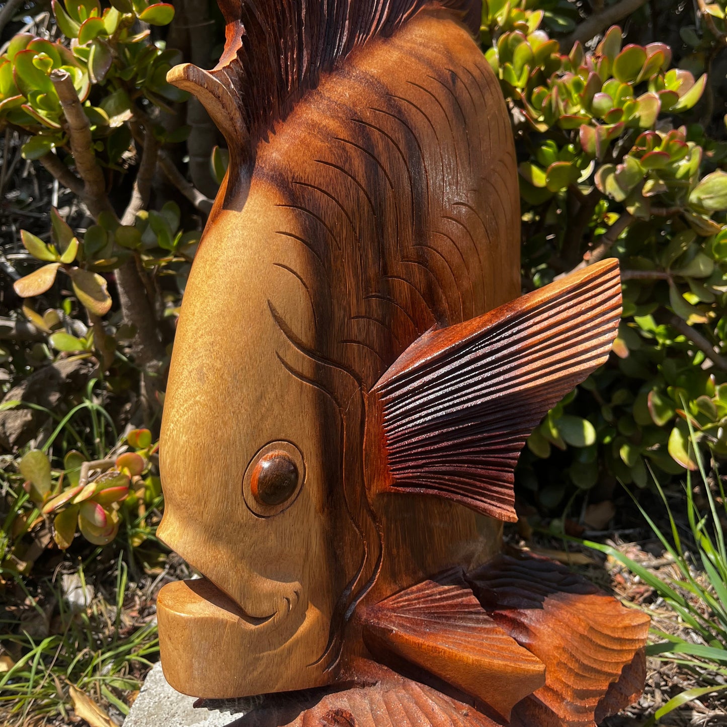 Artisan-crafted wooden sea life statue carved from tropical hardwood, featuring elegant marine-inspired design and smooth hand-finished details. A perfect coastal decor accent that brings the calming spirit of the ocean into any living space.