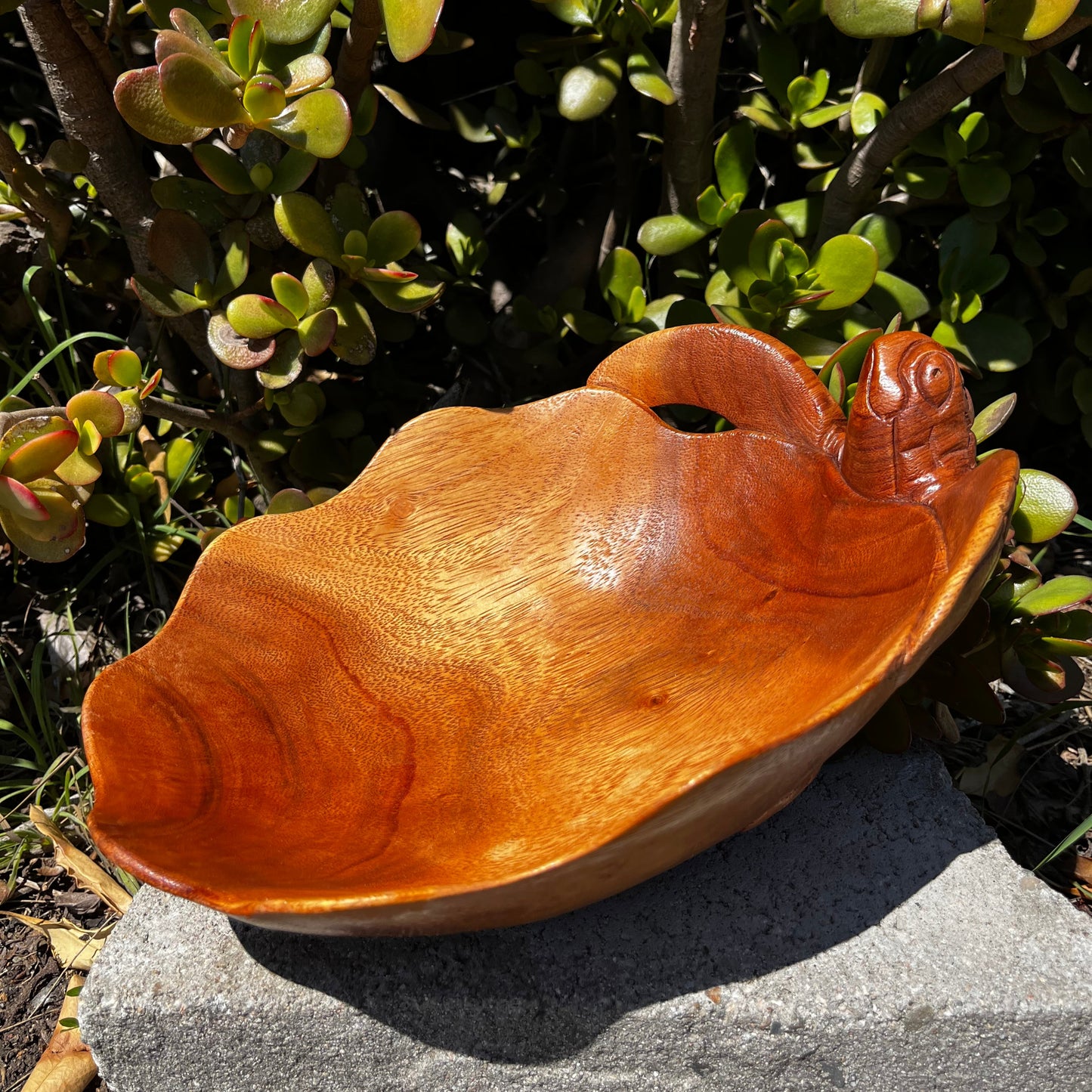 Hand-crafted wooden turtle countertop decor. Ocean art showcased with a nature background. Bali, Indonesia.