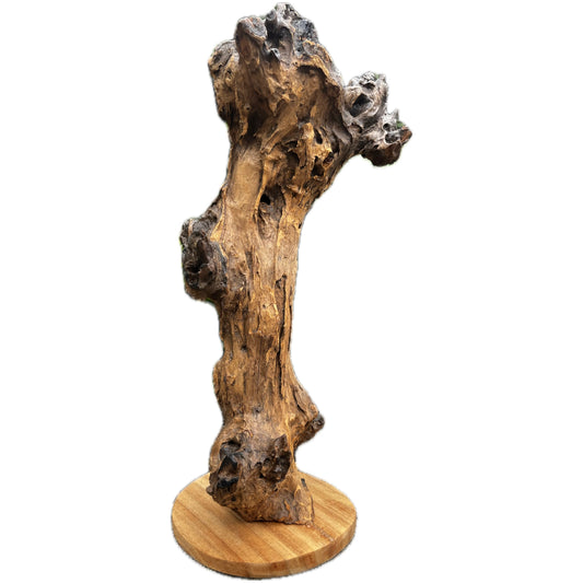 Rustic bold tree sculpture home decor, featuring intricate hand-carved details and natural wood texture.