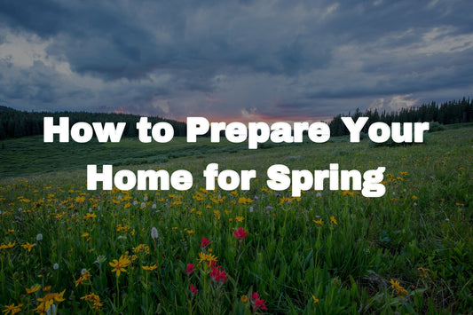 Thumbnail for 'How to Prepare Your Home for Spring' from Burst Living Blog
