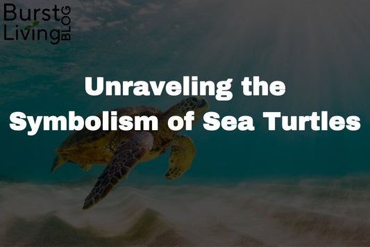 Thumbnail for Burst Living's Meaning and Symbolism behind Sea Turtles