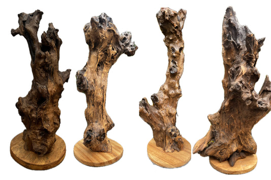 High-Endurance Abstract Tree Sculptures