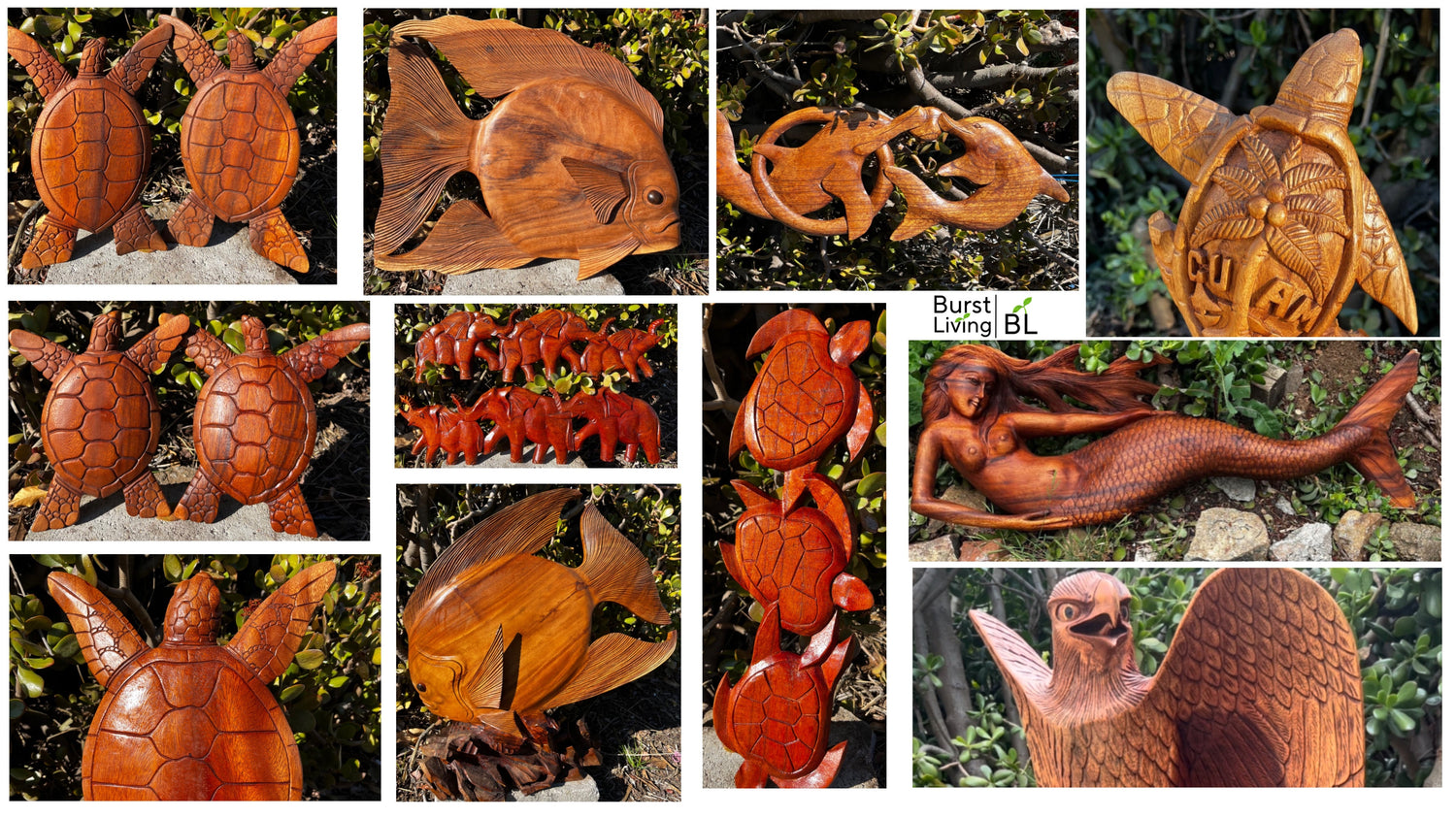 Catalog