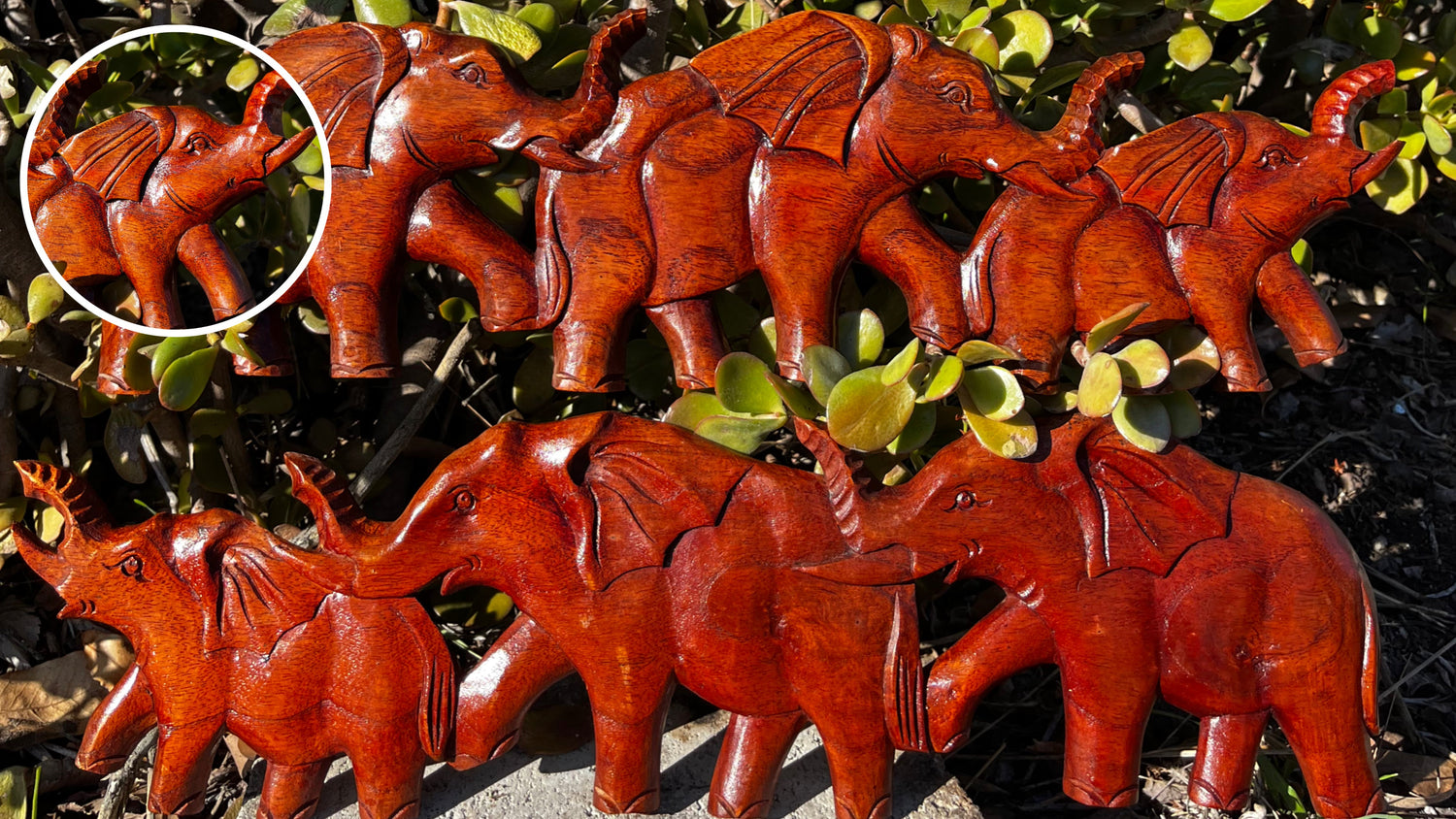 Elephant plaques zoomed in tusk to enter all of land animal showcase