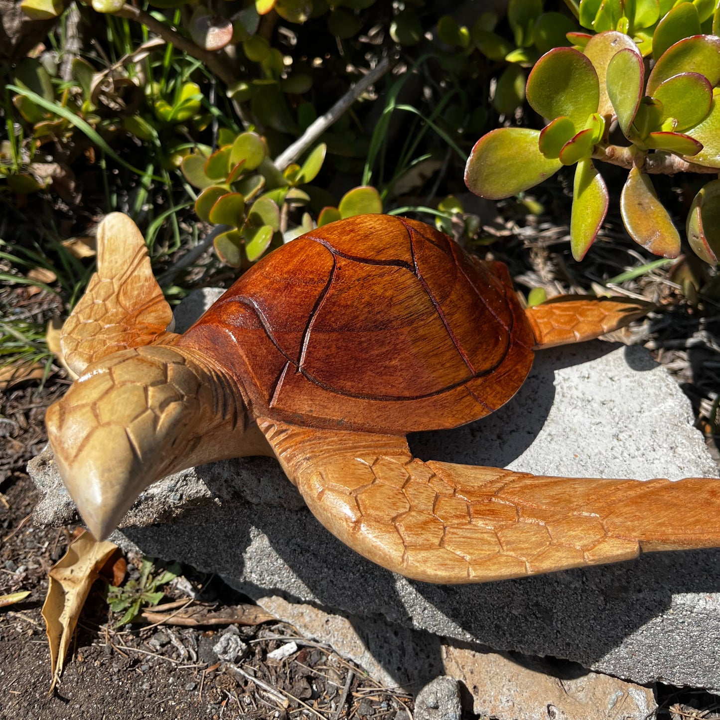 A lifelike 3D wooden sea turtle statue hand-carved from wood. Rich, polished shell contrasts beautifully with textured flippers—perfect for shelves or desktops.