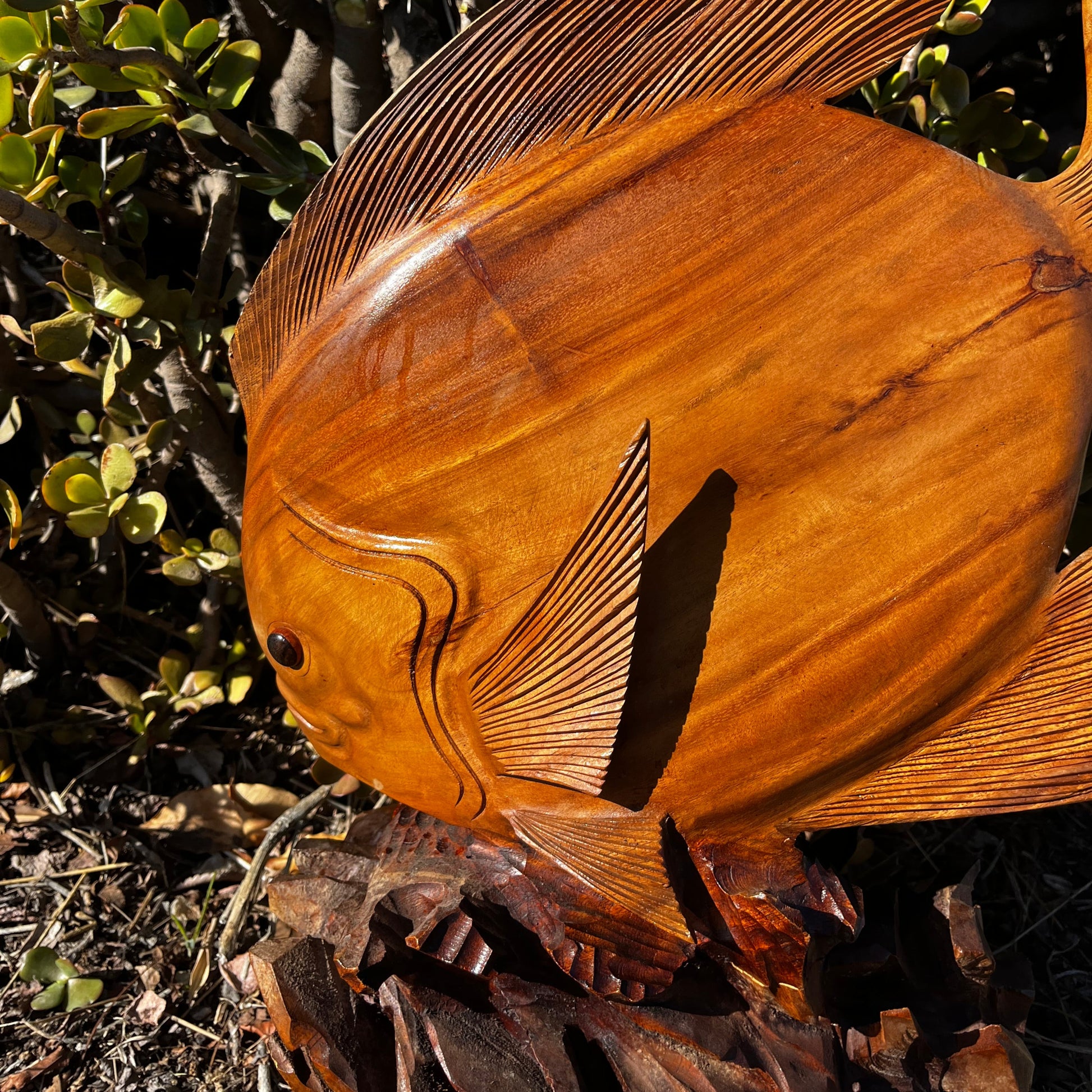 A detailed close-up of the hand-carved wooden discus fish sculpture, showcasing the intricate fin craftsmanship. Made from mahogany wood, highlighting lifelike textures and expert carving against a natural background.
