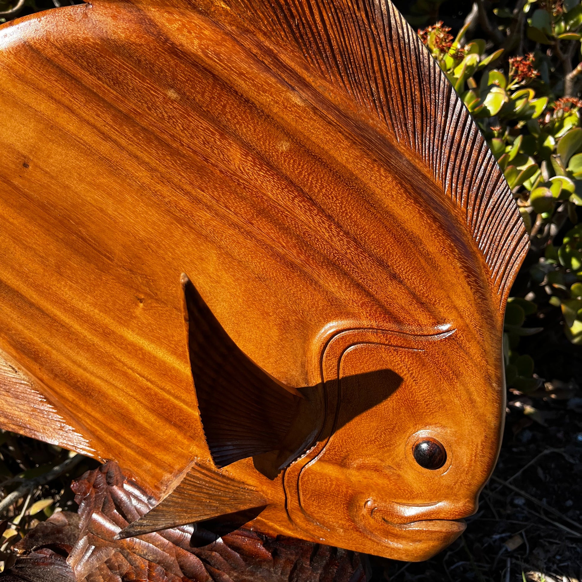 A detailed view of the hand-carved wooden discus fish sculpture’s top fin, showcasing intricate craftsmanship and lifelike texture. Made from mahogany wood, set against a natural background.