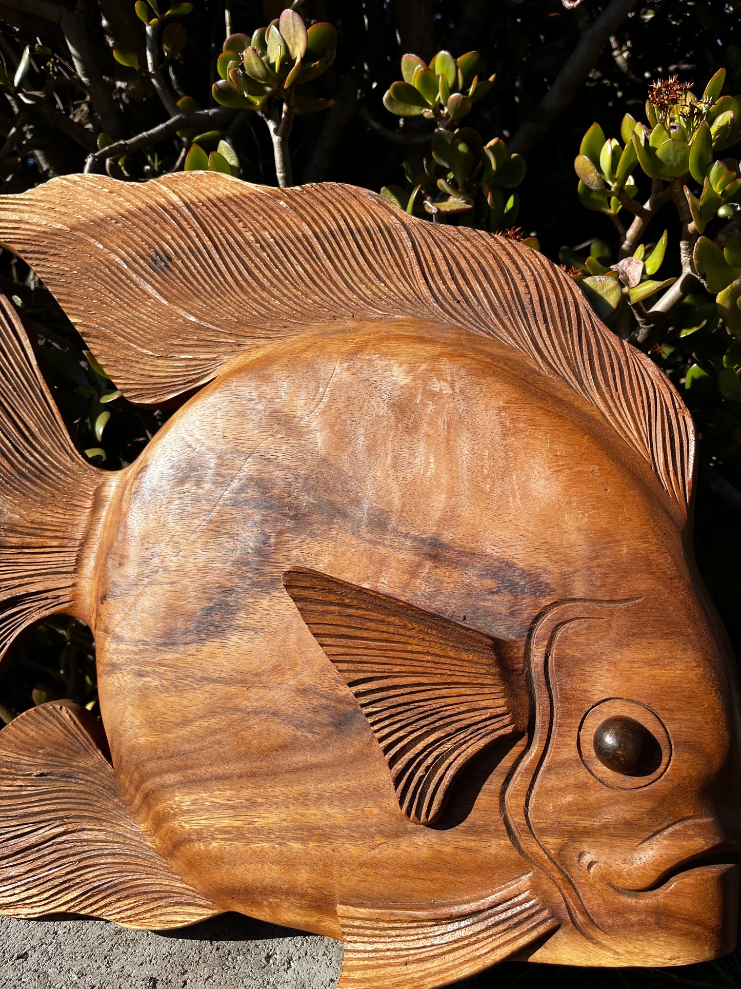 Detailed close-up of a hand-carved wooden discus fish wall plaque, highlighting the intricate craftsmanship of the fins and lifelike eye. A stunning piece of ocean-inspired decor.