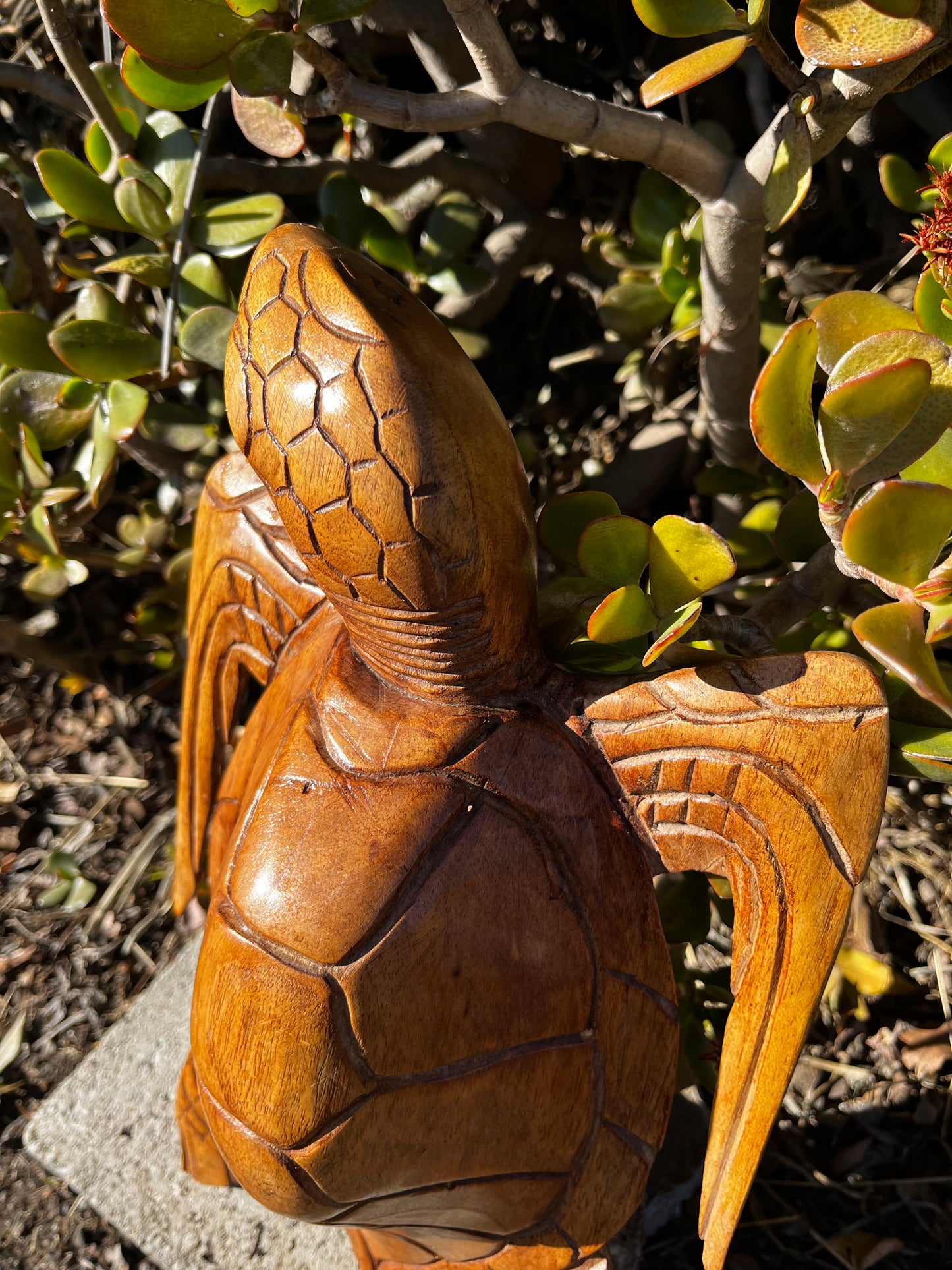 A detailed close-up of the hand-carved turtle sculpture's head, highlighting the intricate craftsmanship and lifelike features. Every fine detail of the turtle's expression and texture is carefully sculpted, showcasing the beauty and artistry of the piece.