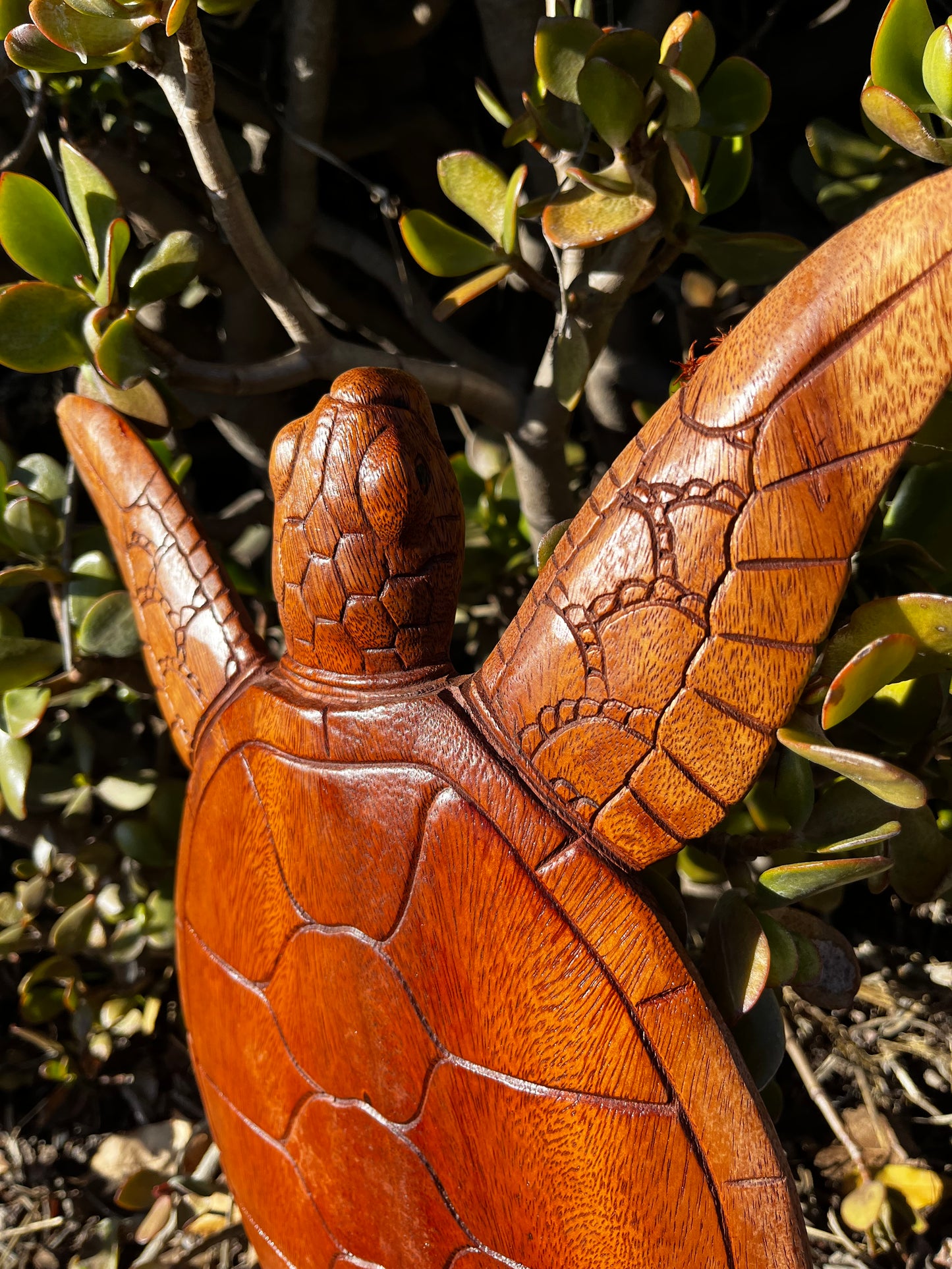 A detailed close-up of the hand-carved wooden turtle wall plaque, highlighting the intricate craftsmanship and lifelike textures. Perfect for ocean-inspired decor.