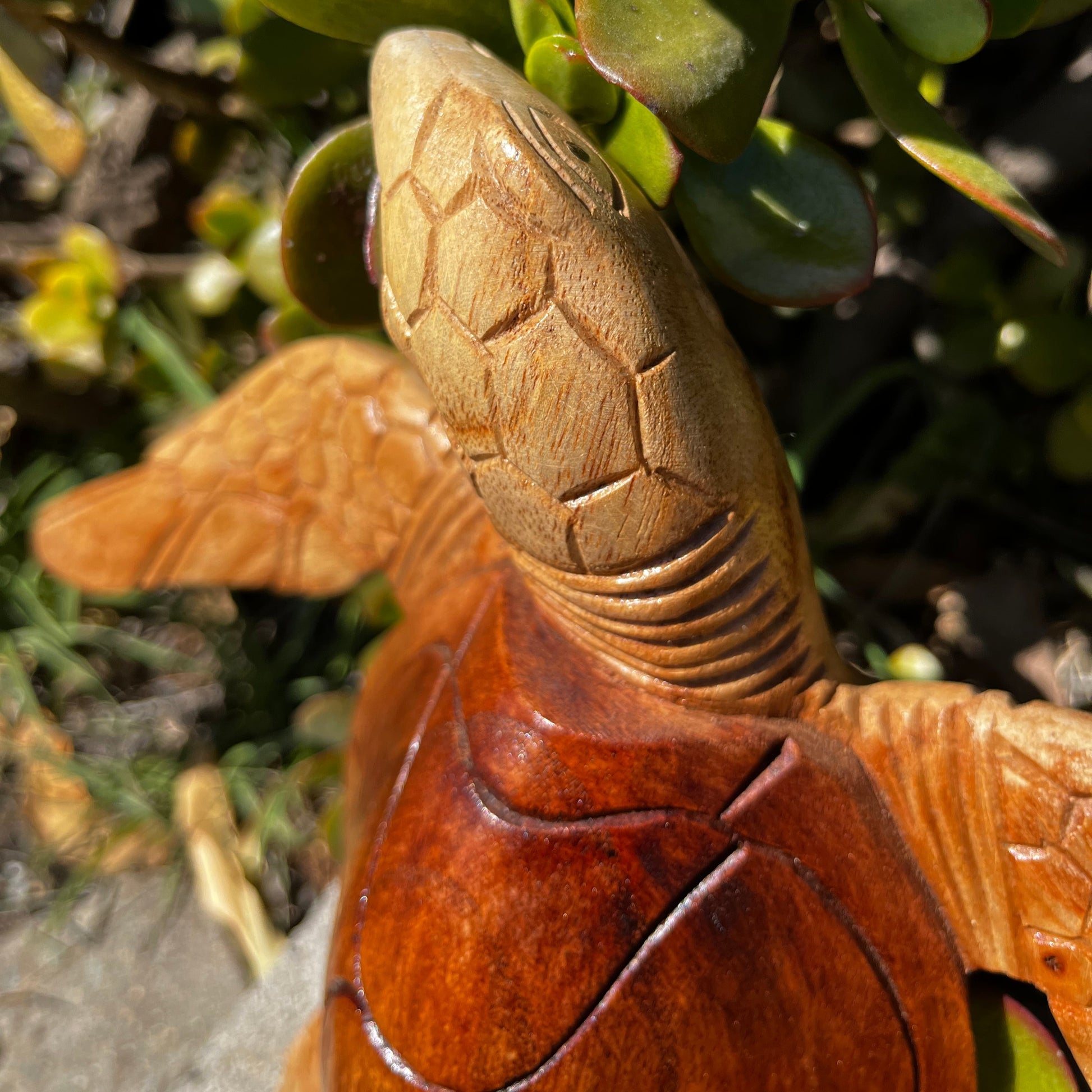 Close-up of a hand-carved wooden sea turtle showing intricate head and shell textures. Highlighting lifelike detail and fine craftsmanship with polished wood tones.