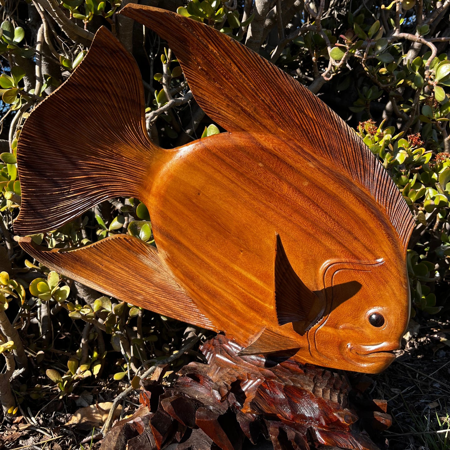 A beautifully hand-carved wooden discus fish sculpture mounted on a coral reef base, set against a serene nature background. Crafted from mahogany wood with intricate details, perfect for ocean-themed decor.