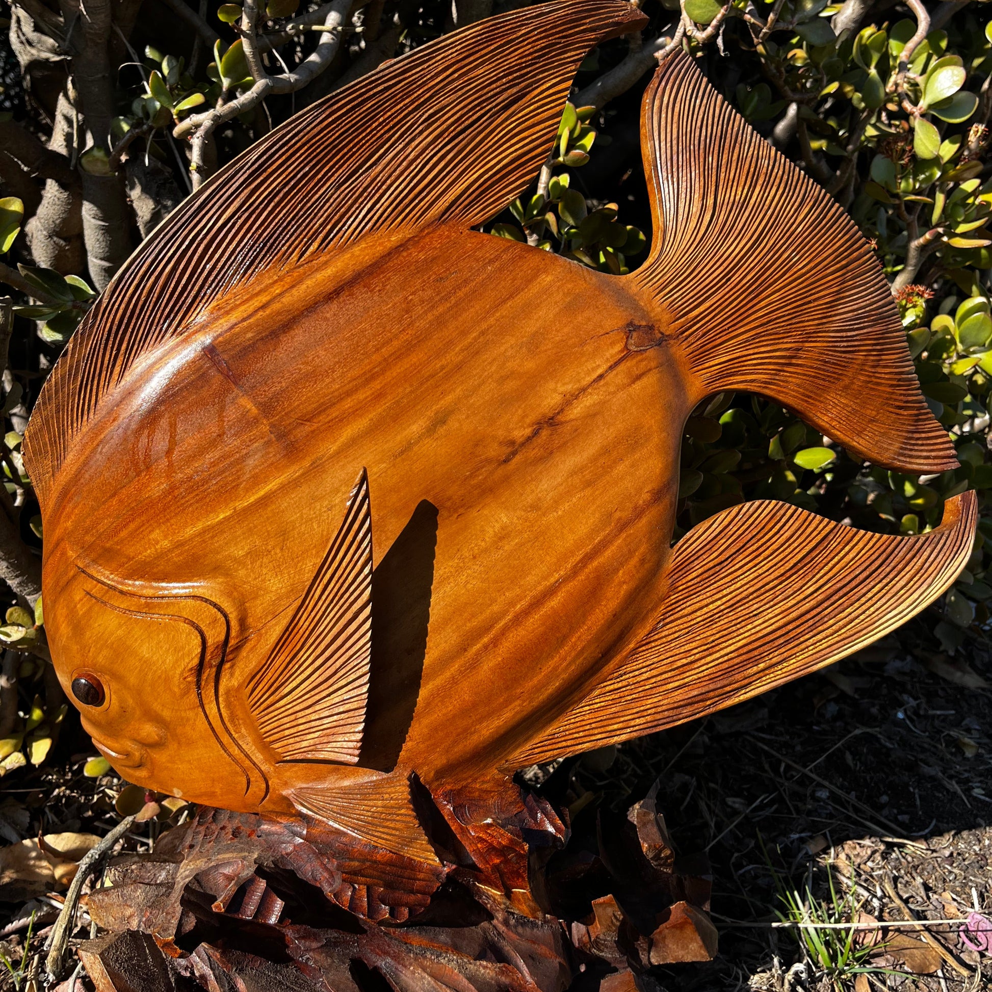  beautifully hand-carved wooden discus fish sculpture mounted on a coral reef base, set against a serene nature background. Crafted from mahogany wood with intricate details, perfect for ocean-themed decor.