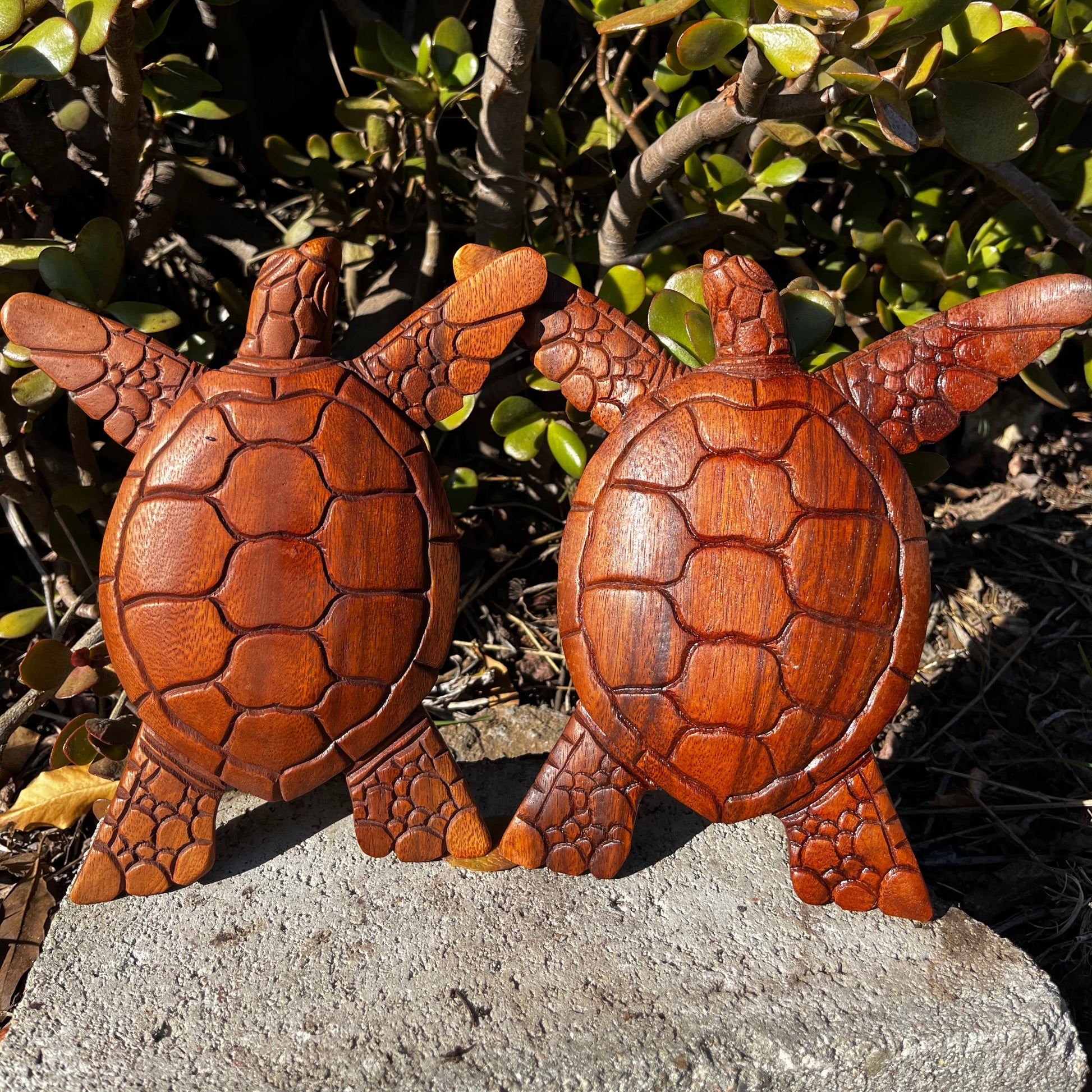A front view of two hand-carved wooden turtle wall plaques, intricately designed with lifelike details, perfect for ocean-themed decor.