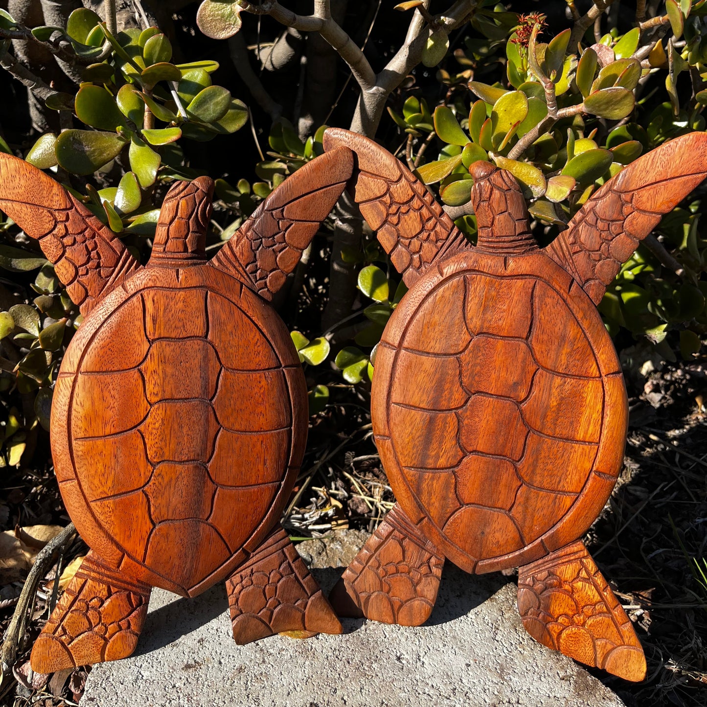 A pair of intricately hand-carved wooden turtle wall plaques, crafted from mahogany wood with lifelike details. These unique ocean-inspired pieces add a coastal touch to any space.