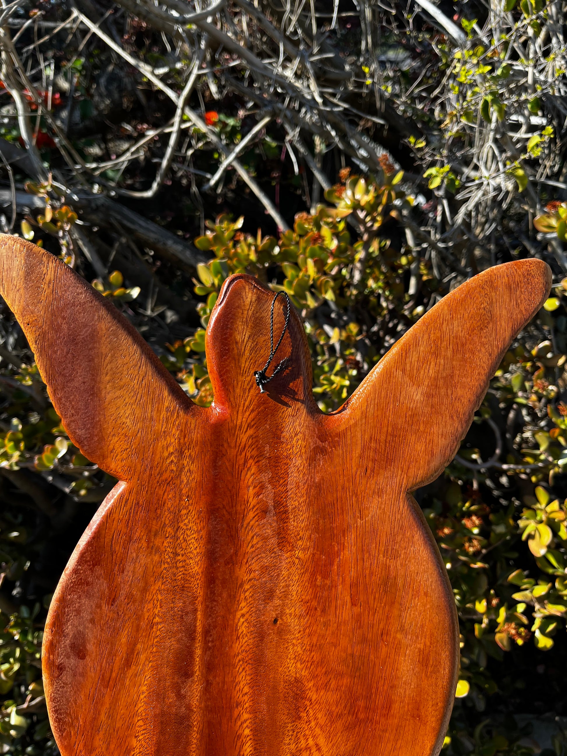 Showcasing the easy hanging of a turtle wall plaque with a hook on the back with a nature plant background.