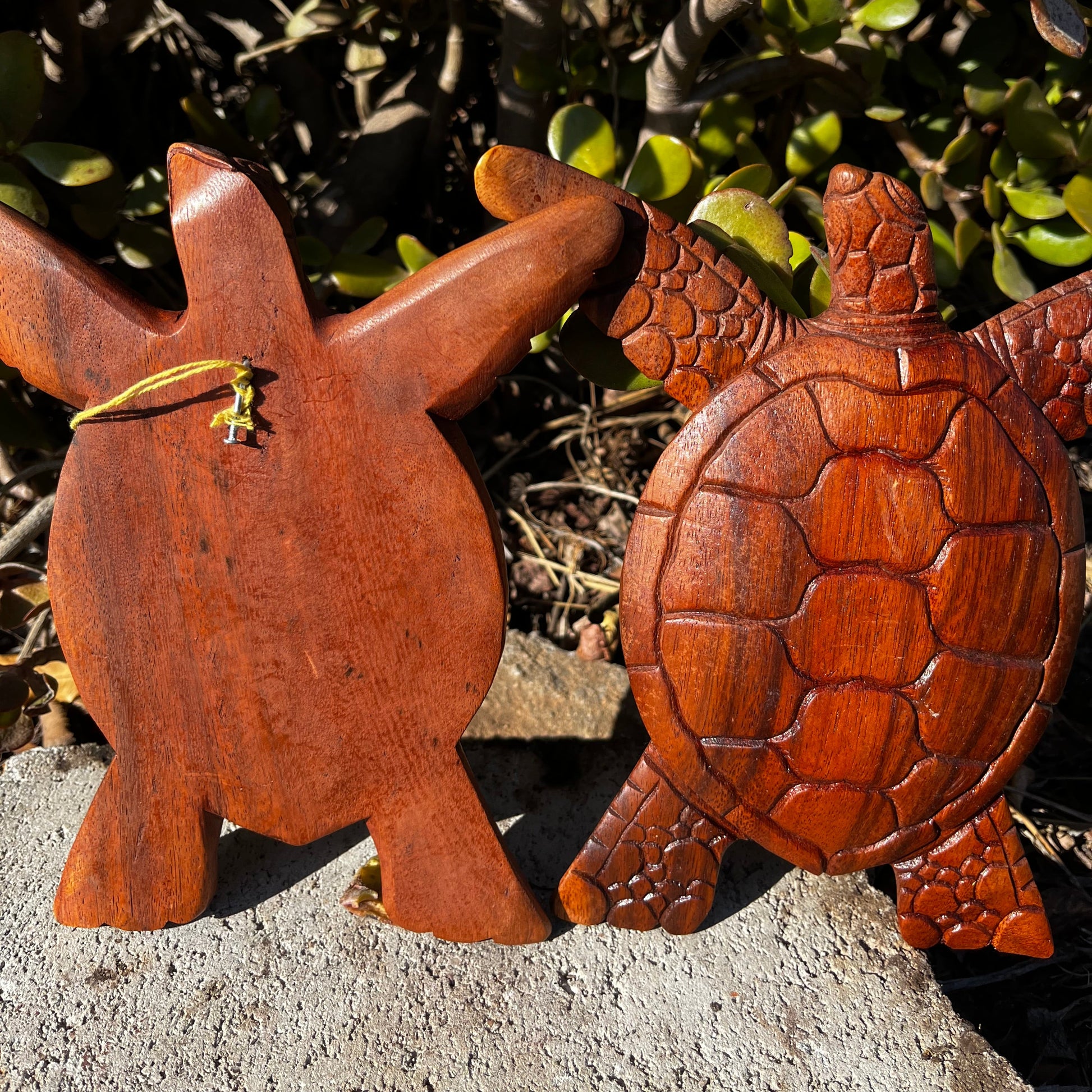 A hand-carved wooden turtle wall plaque displayed from both the front and back, showcasing intricate details and the attached hook for easy hanging.