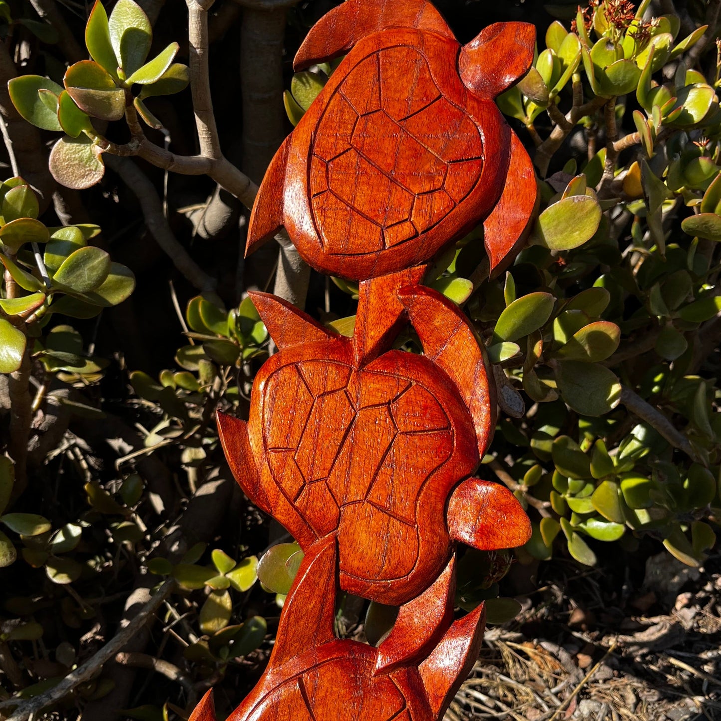 Front view of a hand-carved wooden turtle wall plaque featuring three intricately detailed turtles. Made from mahogany wood, this unique ocean-inspired decor adds a natural and artistic touch to any space.