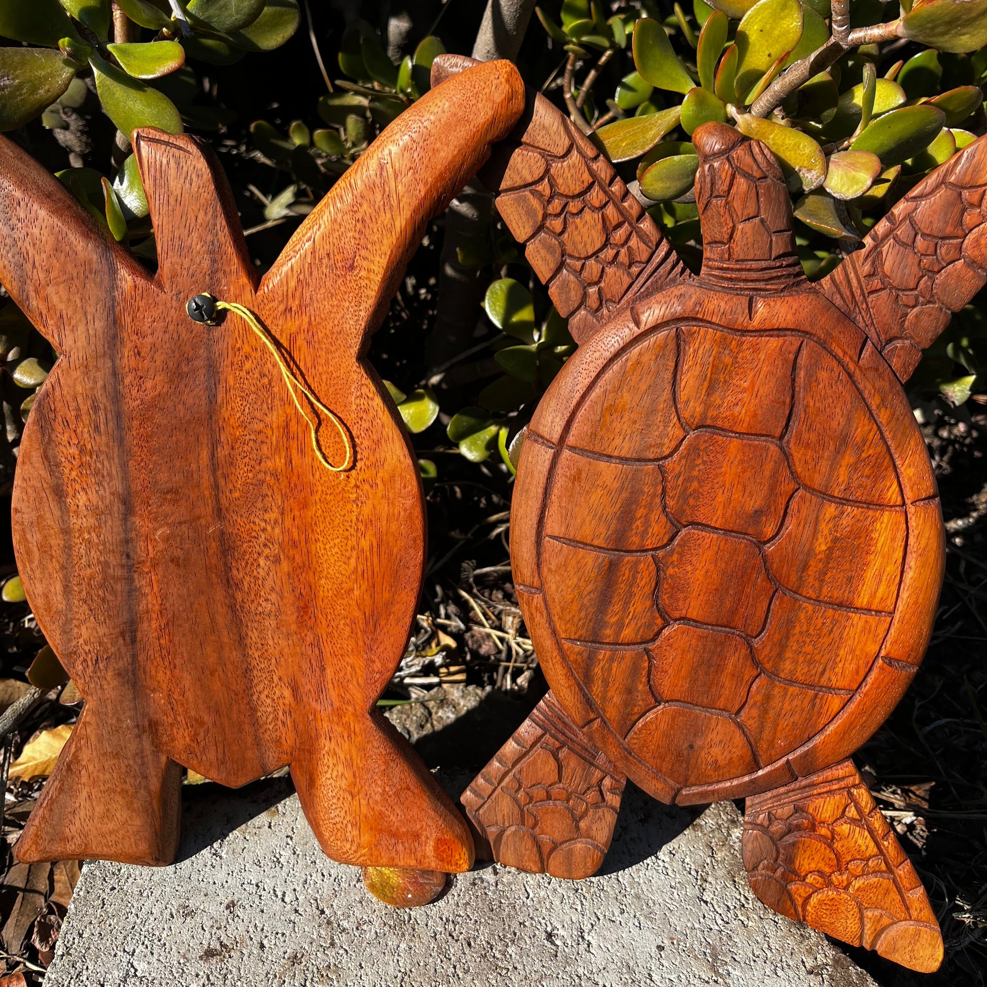 A hand-carved wooden turtle wall plaque set, showcasing the detailed front design and the back with a sturdy hanging hook for easy wall mounting. Made from mahogany wood, perfect for ocean-inspired decor.